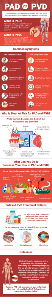 PAD vs PVD: What are the Differences? | USA Vascular Centers